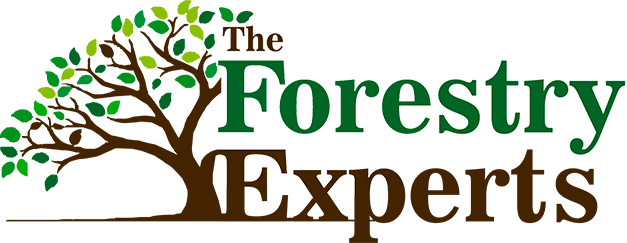 Logo-The-Forestry-Experts-web